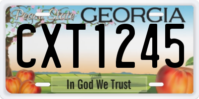 GA license plate CXT1245