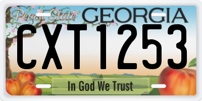 GA license plate CXT1253