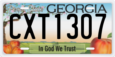GA license plate CXT1307