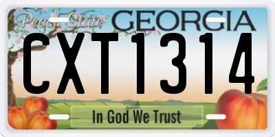 GA license plate CXT1314