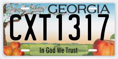 GA license plate CXT1317