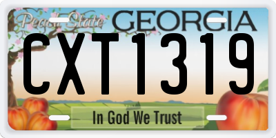 GA license plate CXT1319