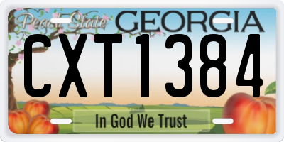 GA license plate CXT1384