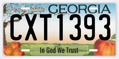 GA license plate CXT1393
