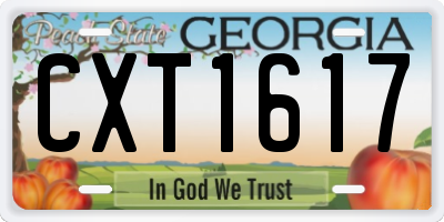 GA license plate CXT1617