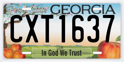 GA license plate CXT1637