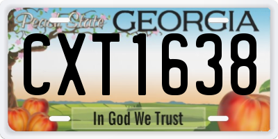 GA license plate CXT1638
