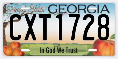 GA license plate CXT1728