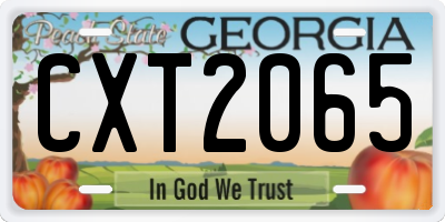 GA license plate CXT2065
