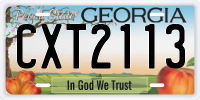 GA license plate CXT2113