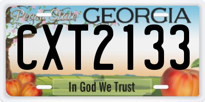 GA license plate CXT2133