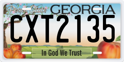 GA license plate CXT2135