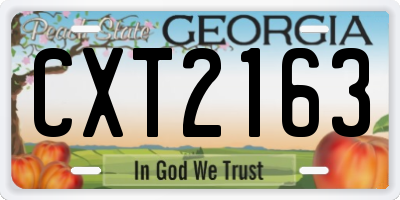 GA license plate CXT2163