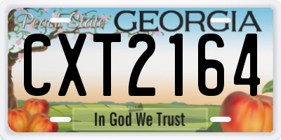 GA license plate CXT2164