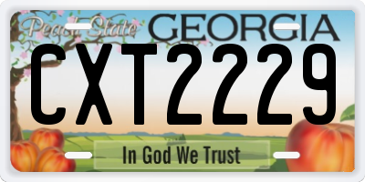 GA license plate CXT2229