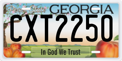 GA license plate CXT2250