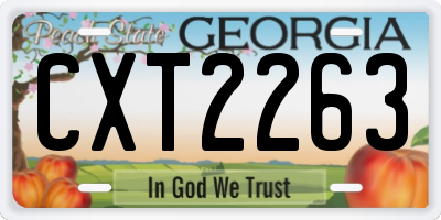 GA license plate CXT2263