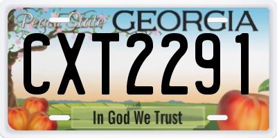 GA license plate CXT2291