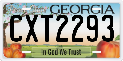 GA license plate CXT2293
