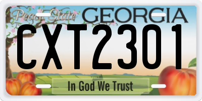 GA license plate CXT2301