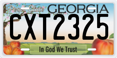 GA license plate CXT2325