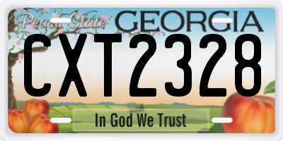 GA license plate CXT2328
