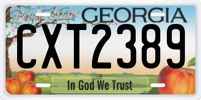 GA license plate CXT2389