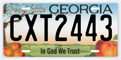 GA license plate CXT2443