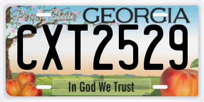 GA license plate CXT2529