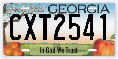 GA license plate CXT2541
