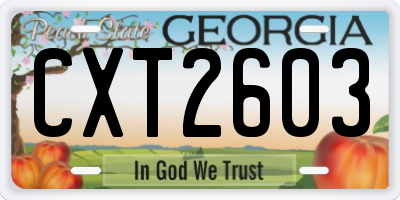 GA license plate CXT2603