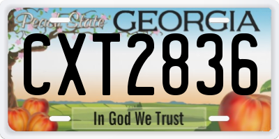 GA license plate CXT2836