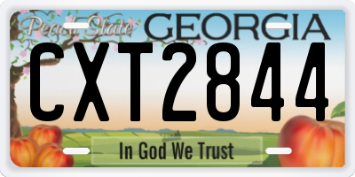 GA license plate CXT2844