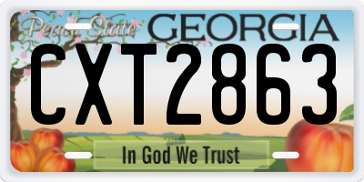GA license plate CXT2863