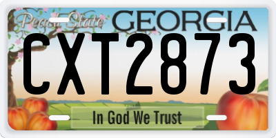 GA license plate CXT2873