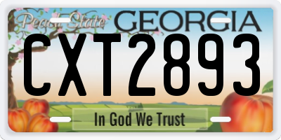 GA license plate CXT2893