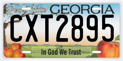GA license plate CXT2895