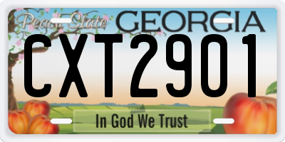 GA license plate CXT2901