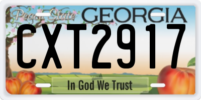 GA license plate CXT2917