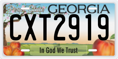 GA license plate CXT2919