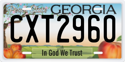 GA license plate CXT2960