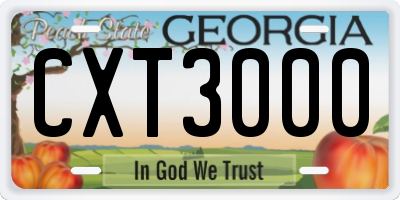 GA license plate CXT3000