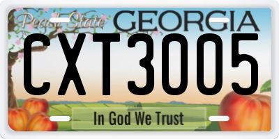 GA license plate CXT3005