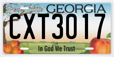 GA license plate CXT3017