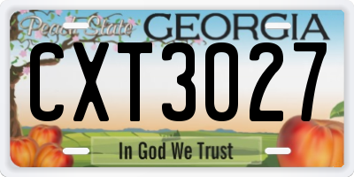 GA license plate CXT3027