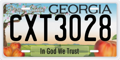 GA license plate CXT3028