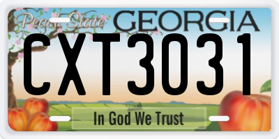GA license plate CXT3031