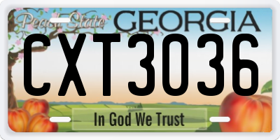 GA license plate CXT3036