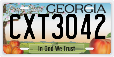 GA license plate CXT3042