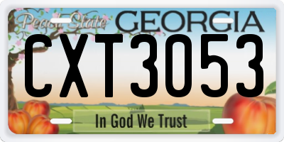 GA license plate CXT3053